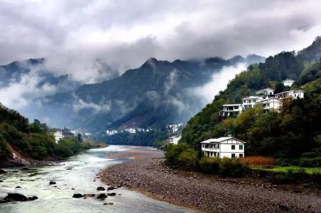 逃离制药厂