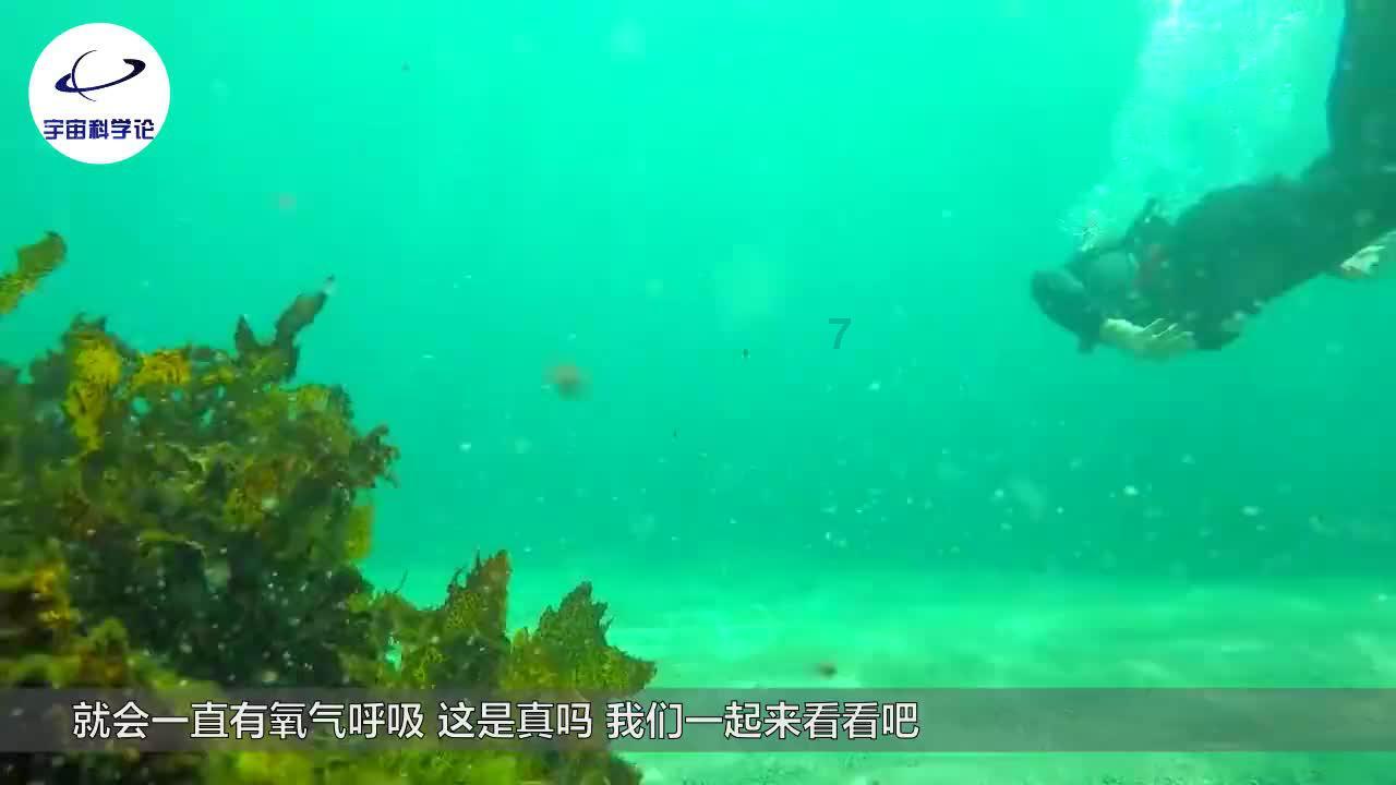 富安健洋:在枪手时塔帅常要求不给对手希望,明天的比赛希望如此